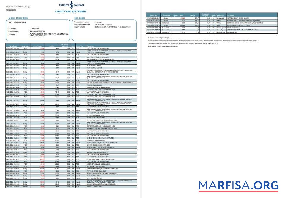 Realistic Turkey Bankasi bank statement word 2 pages download for verification